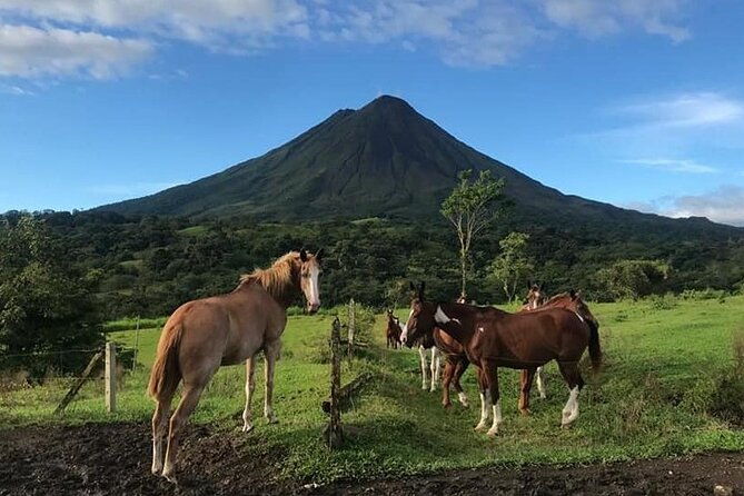 full-day-class-ii-iii-rafting-horse-back-riding