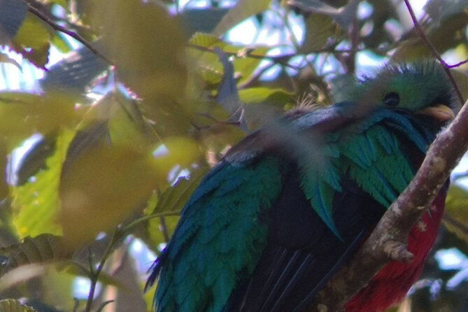 full-day-hiking-and-bird-watching-at-savegre-river-san-gerardo-near-to-san-jose