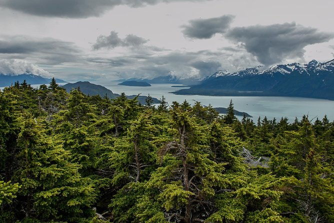 full-day-mount-riley-hike-from-haines