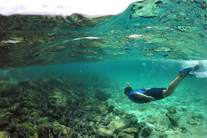 full-day-pinzon-island-finishing-in-la-fe-with-snorkeling-and-lunch-included