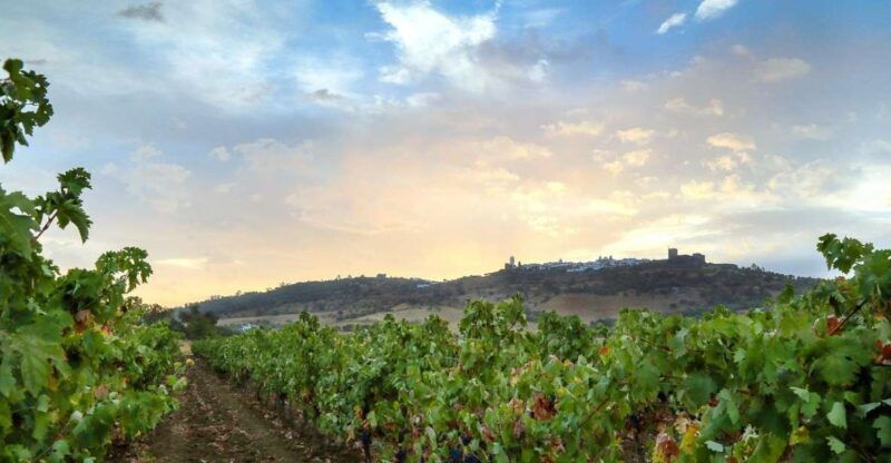 full-day-private-cultural-tour-in-evora-and-monsaraz