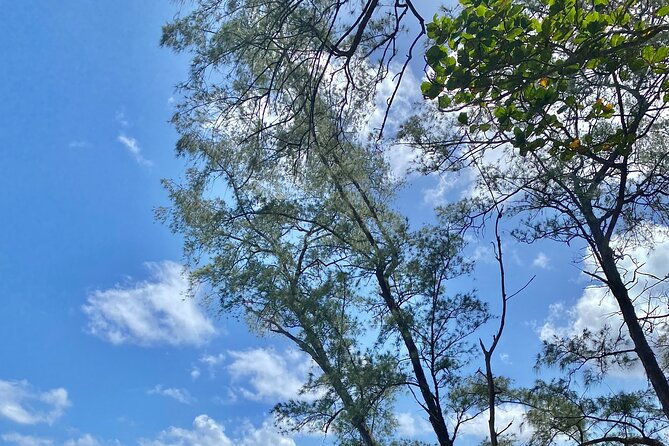 full-day-private-road-tour-to-hana