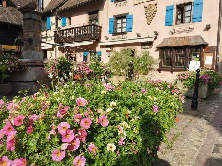 full-day-safari-tour-villages-vineyards-wine-tasting