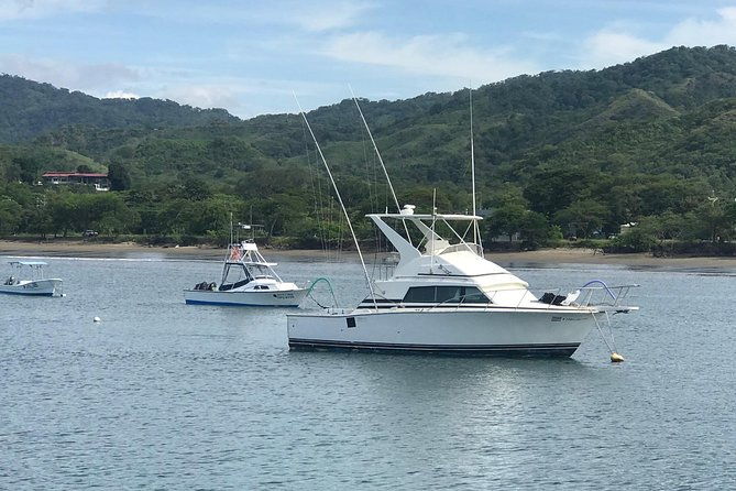 full-day-sport-fishing-tour-from-flamingo-beach