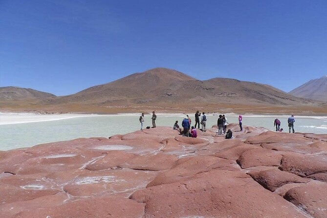 full-day-tour-altiplanicas-and-piedras-rojas-lagoon-with-food