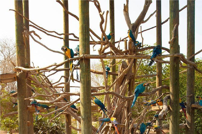 full-day-tour-aviary-with-beach-in-baru-with-lunch