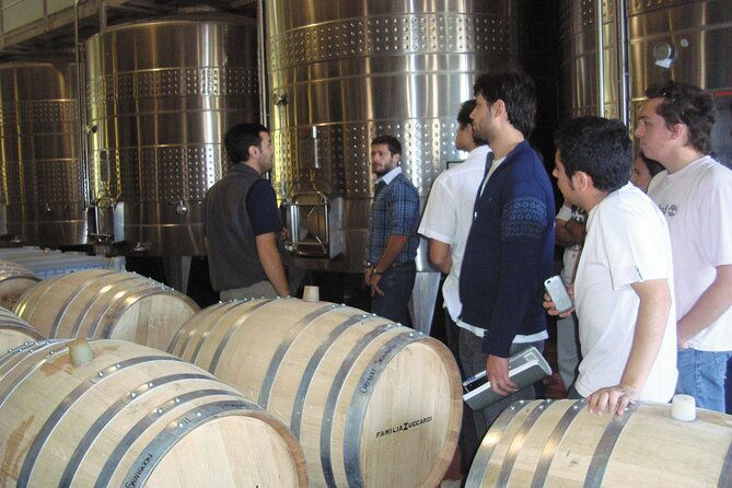 full-day-tour-in-maipu-winery-olive-farm-and-lunch