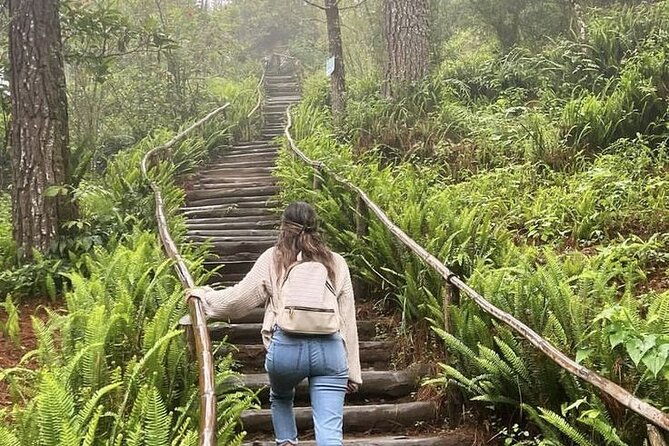 full-day-tour-in-the-historical-center-volcanoes-lakes-mayan-sites