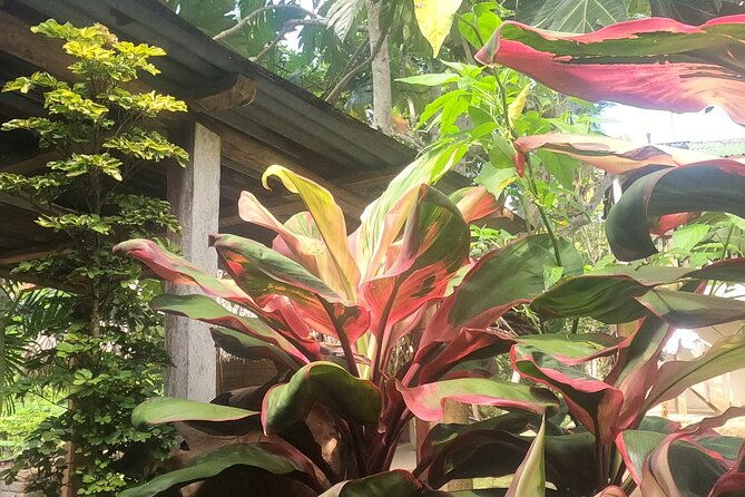 full-day-tour-to-gotsezhy-indigenous-town-in-santa-marta