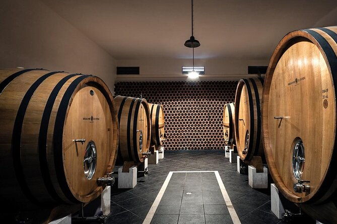 full-day-trip-in-evora-winery-cork-factory-private-transport