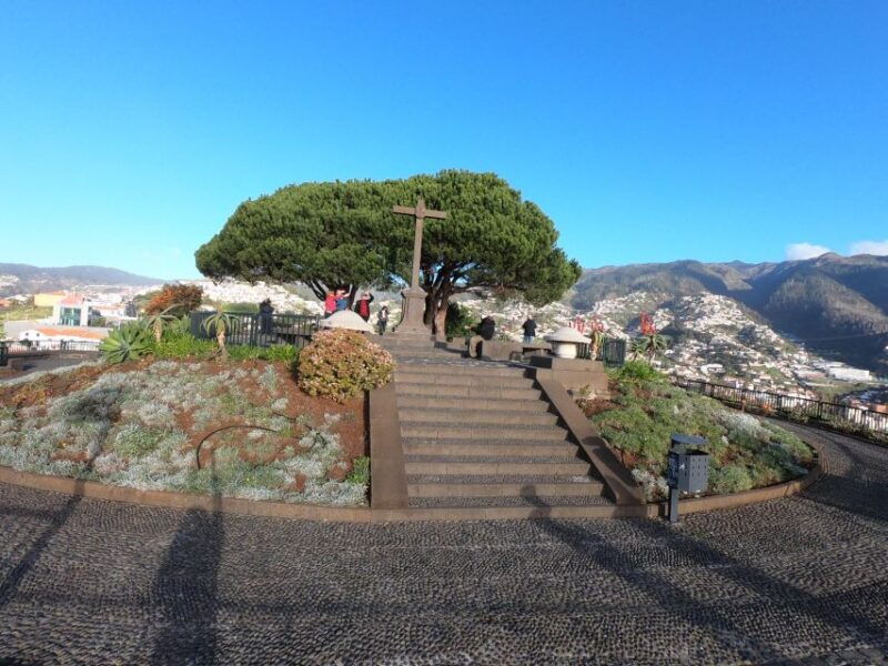 funchal-cabo-girao-wines-tasting-and-dolphins-watching