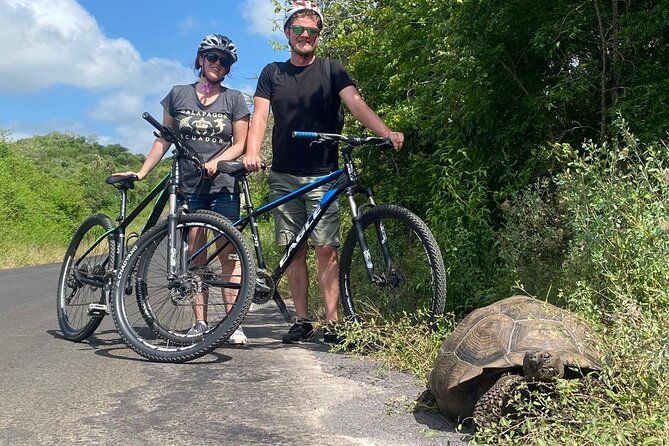 galapagos-bicycle-rental