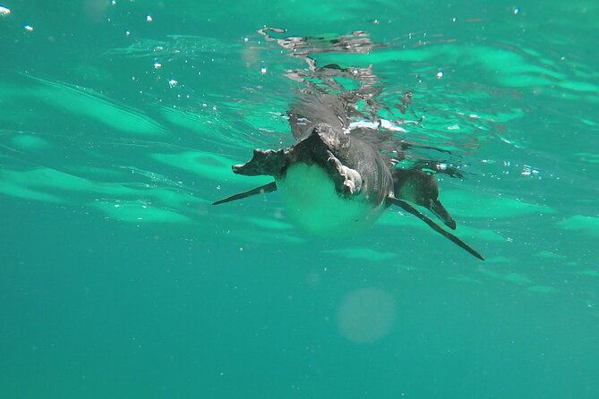 galapagos-hoping-islands-7-days-experience-4-islands