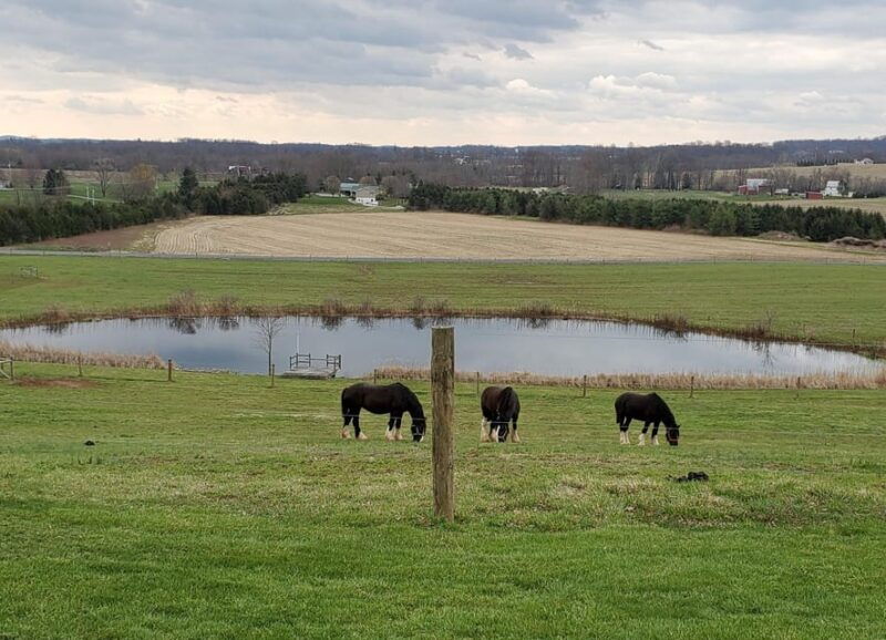 gettysburg-horse-drawn-carriage-tour-countryside-orchards