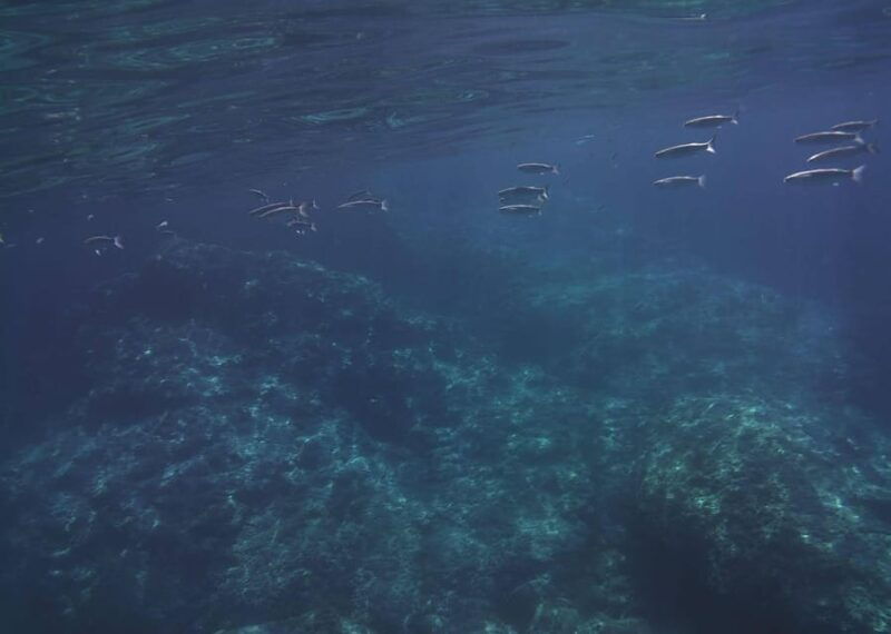 giardini-naxos-taormina-2-hours-boat-tour-with-snorkeling