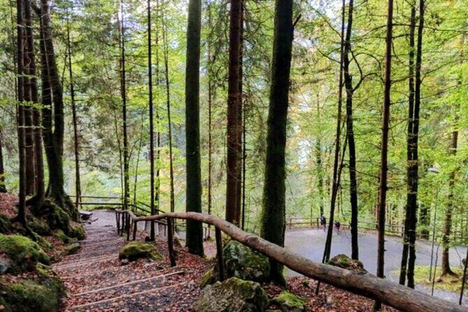 giessbach-waterfall-cloy-pier-iseltwald-sightseeing-tour-private