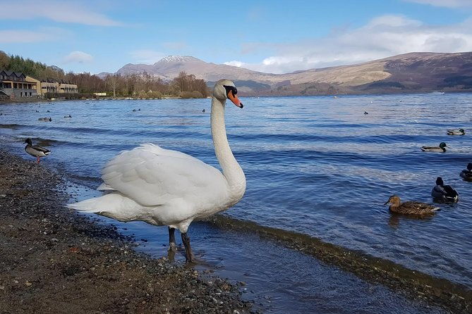 glorious-scotland-scenic-tour-from-glasgow-area