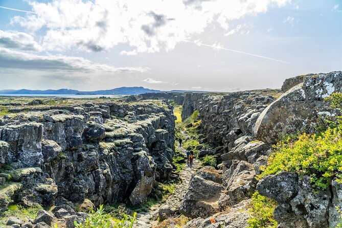 golden-circle-fridheimar-experience-private-farm-wonder-tour