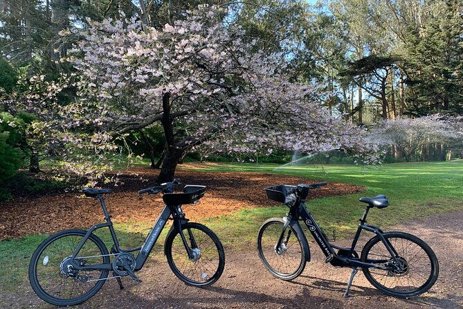 golden-gate-park-electric-bike-rental