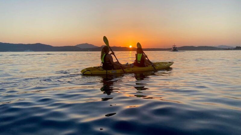 golfo-aranci-german-guided-kayak-tour-aperitif-dolphins