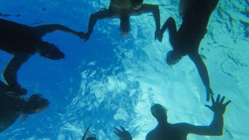 golfo-aranci-snorkelling-in-cala-moresca