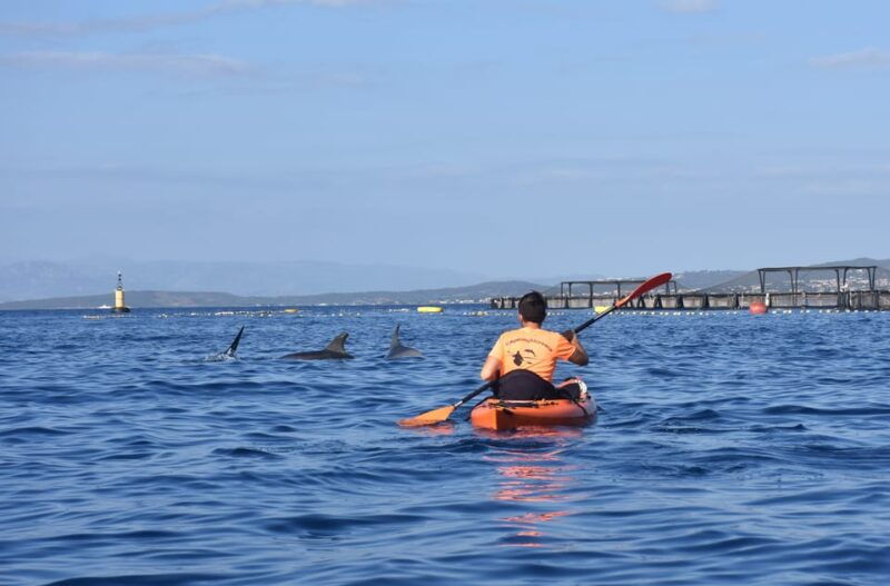 golfo-aranci-sunrise-dolphin-kayak-tour-with-breakfast