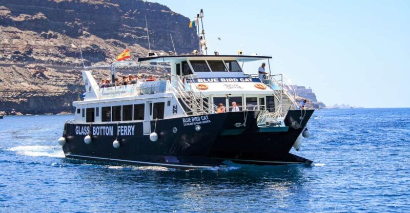 gran-canaria-catamaran-dolphin-watch-cruise-with-snorkeling