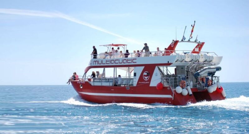 gran-canaria-dolphin-and-whale-watching-cruise-2