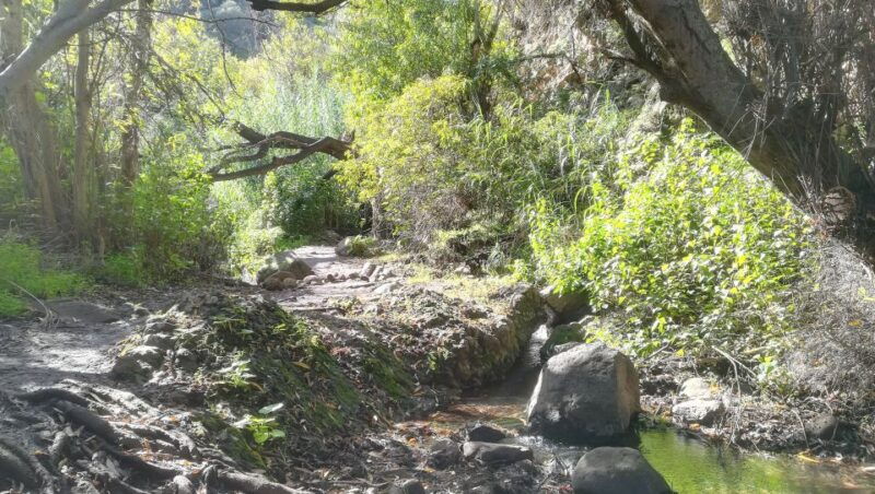 gran-canaria-magic-waterfalls-hiking-tour