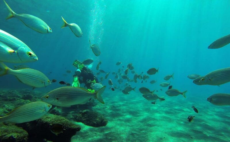 gran-canaria-scuba-diving-1-day-2-dive-package