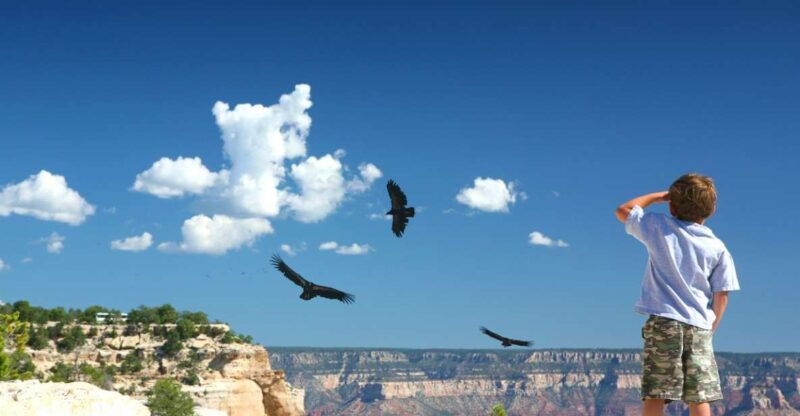 grand-canyon-morning-off-road-safari-with-skip-the-gate