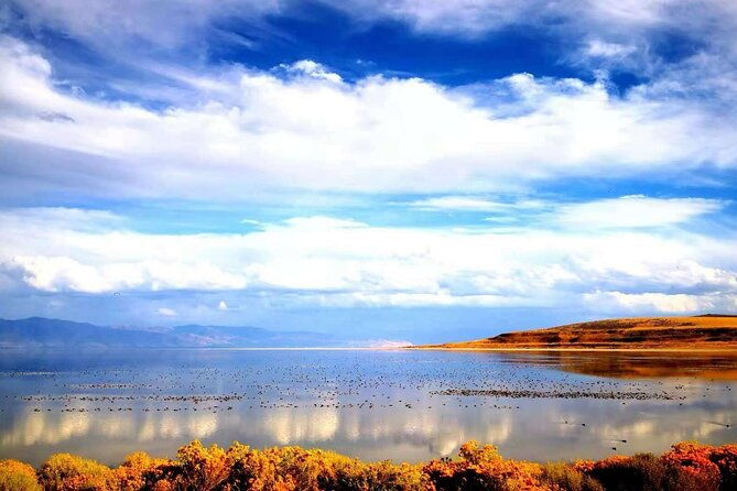 grand-teton-yellowstone-and-glacier-national-parks-8-day-tour