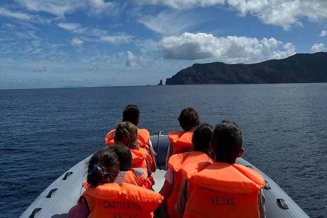 guided-activity-in-the-heart-of-azores-with-whales-and-dolphins