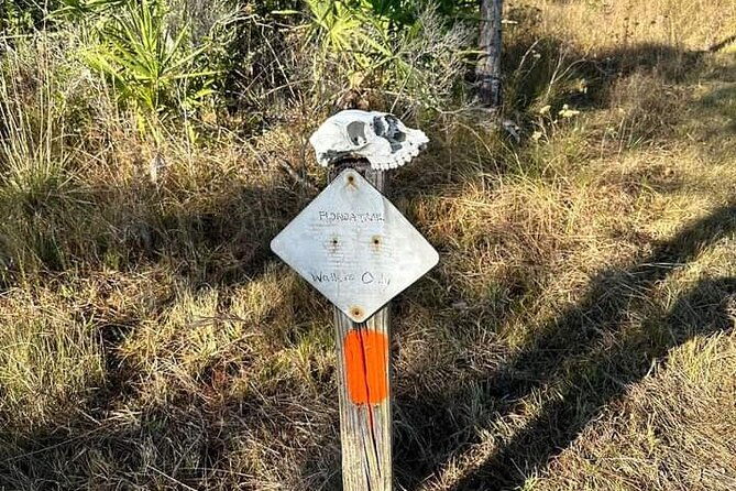 guided-day-hike-through-floridas-wild-backcountry