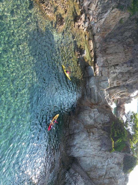 guided-kayak-tour-introduction-1h-15m