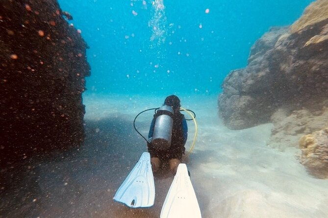 guided-shore-dive