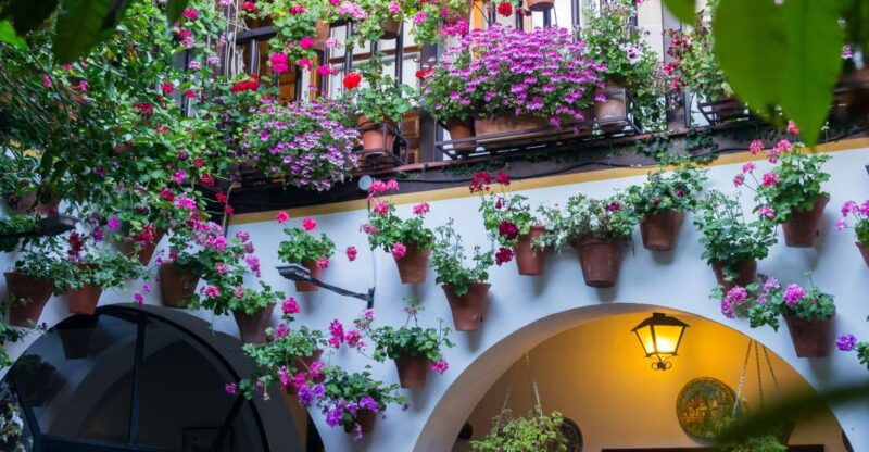 guided-tour-in-spanish-to-the-courtyards-of-cordoba