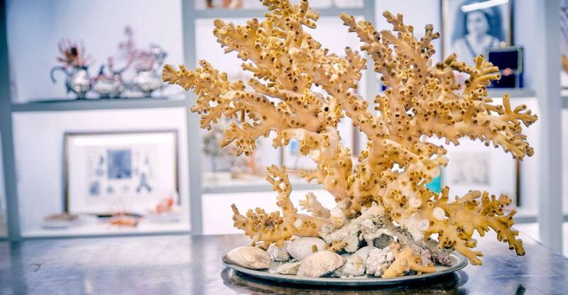 guided-tour-of-the-coral-museum-in-sciacca