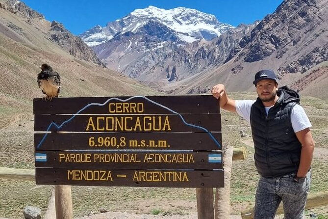 guided-tour-of-the-mendoza-mountains-for-the-day