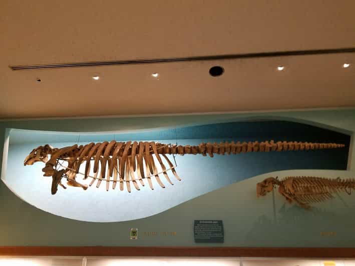 guided-tour-of-the-natural-history-museum