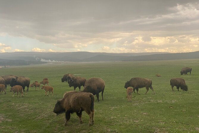 guided-yellowstone-national-park-trip