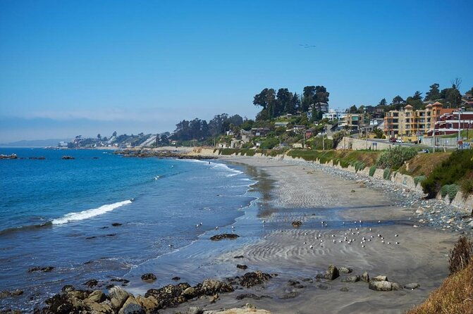 half-day-chilean-pacific-coast-tour-vina-del-mar-renaca-and-concon