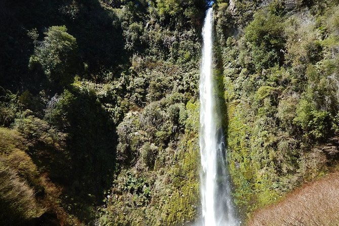 half-day-tour-to-the-eyes-of-caburgua-from-pucon