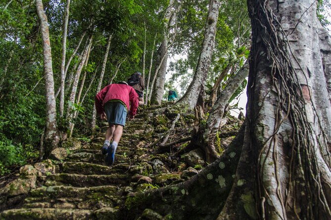 half-day-tour-to-the-heart-of-maya-civilization-in-belize