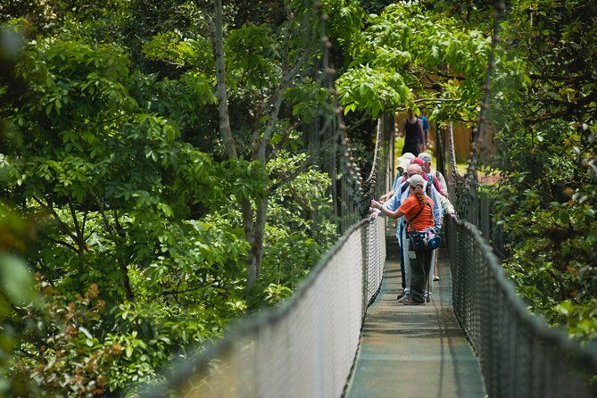 hanging-bridges-adventure-san-luis-from-san-jose