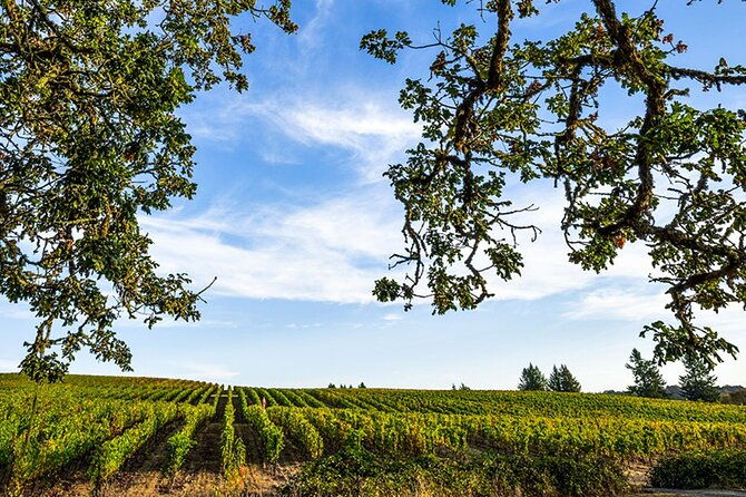 heart-of-willamette-winery-pass-wine-tastings-and-discounts
