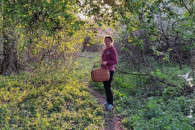 herbal-and-wild-food-walking-tour-in-warsaw-area