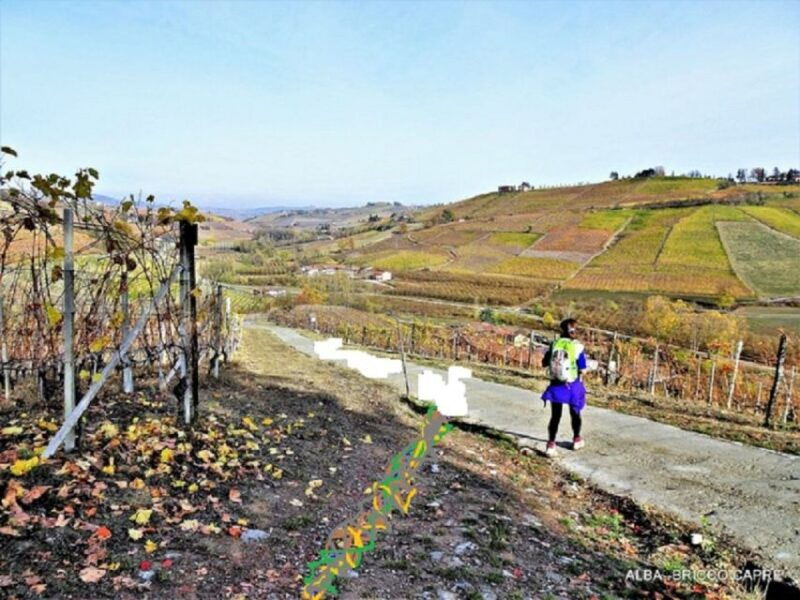 hiking-and-wine-tour-starting-from-alba-2