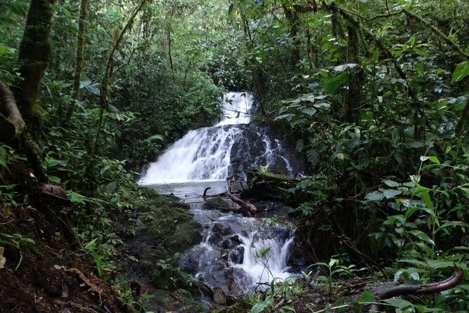 hiking-experience-in-el-quetzal-private-reserve