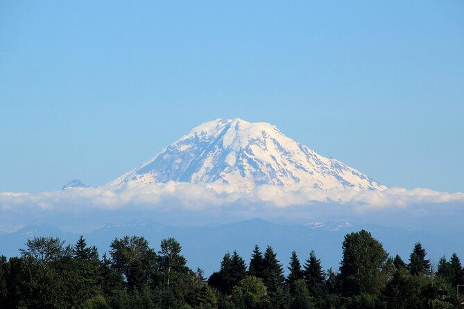 hiking-in-mount-rainier-private-tour-from-seattle